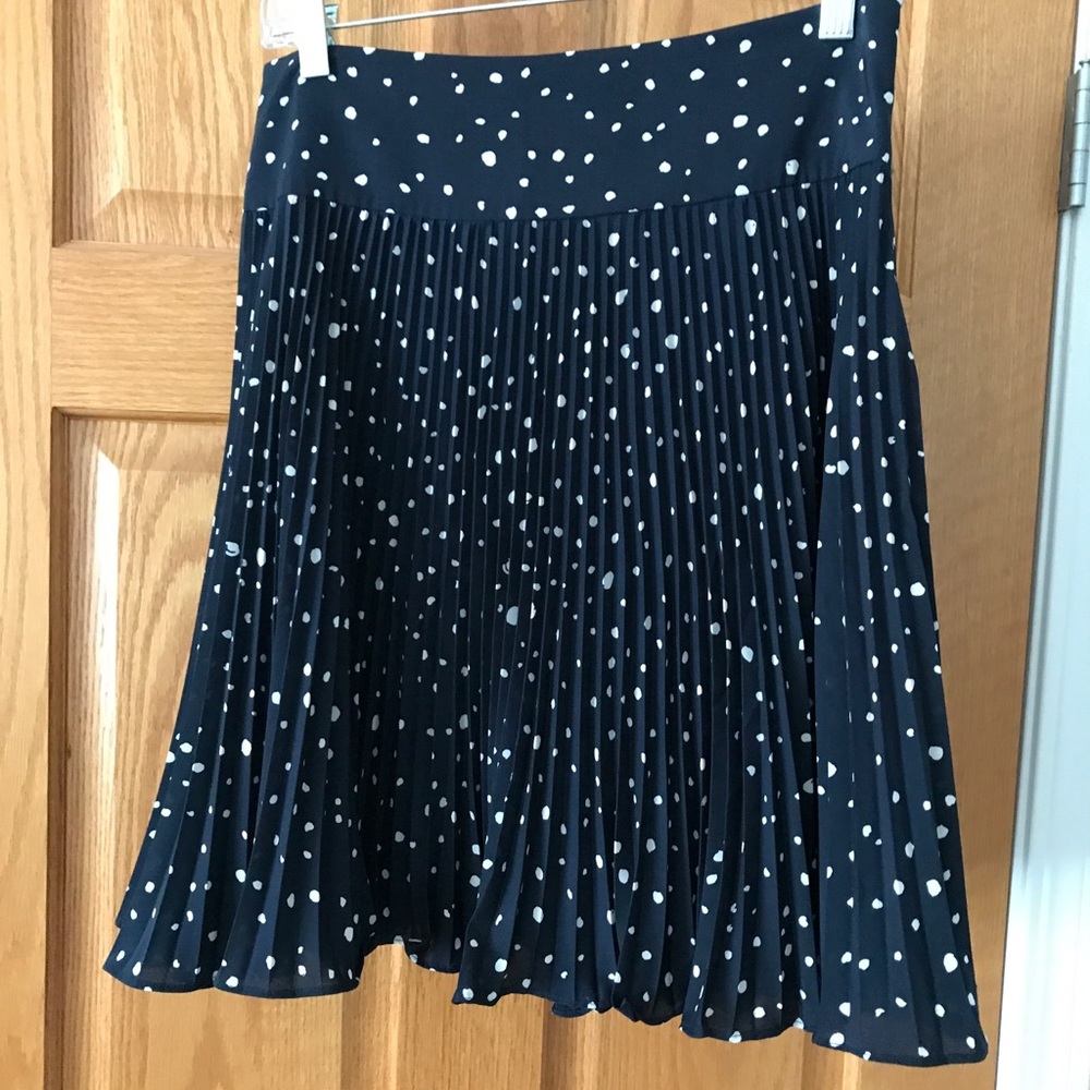 Ann Taylor skirt